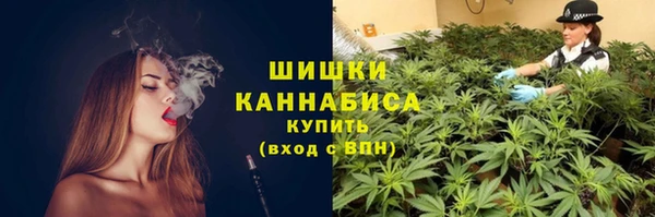 дмт Бронницы