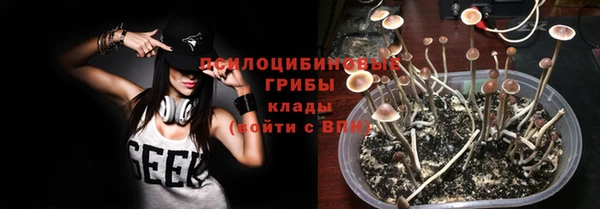 PSILOCYBIN Бугульма