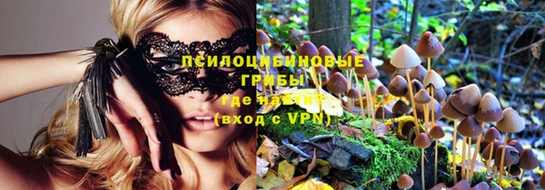 дмт Бронницы